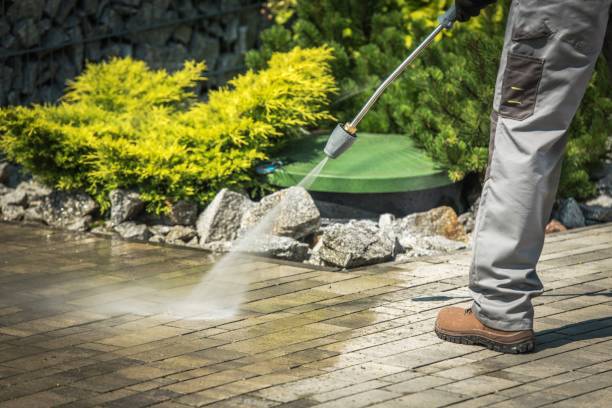 Best Vinyl Siding Pressure Washing in New Market, VA